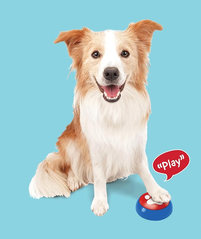 SPOT Easy-Talk Dog Buttons for Communication, 3 Pcs