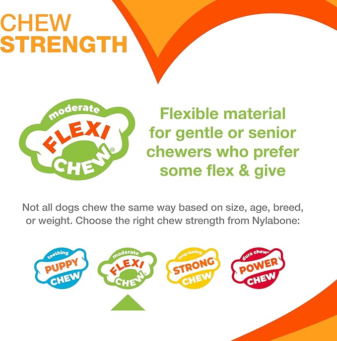 Nylabone Flexi Chew Dental Gumabone Dog Chew Toy, Chicken Flavor, Small | Dog toys for small dogs up to 25 lbs, teeth-cleaning textures, flexible material, gentle on teeth, great for seniors