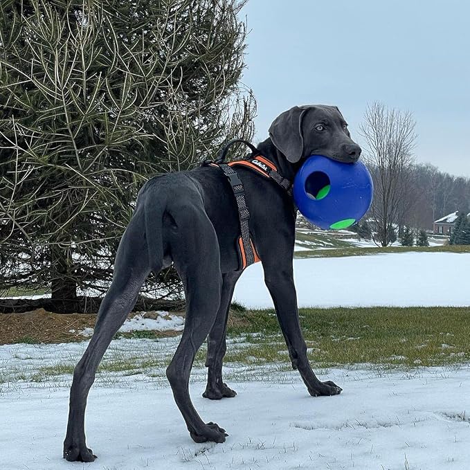 Jolly Pets Teaser Ball Interactive Dog Toy, 8 in Large, Blue | Ball-within-a-ball puzzle toy that floats - add peanut butter to the inner ball for extra fun