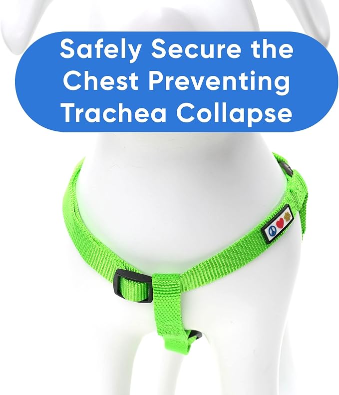 Pawtitas Solid Step-in Dog Harness – Adjustable No-Pull Vest for Puppies to Seniors, Safe & Comfortable M Green