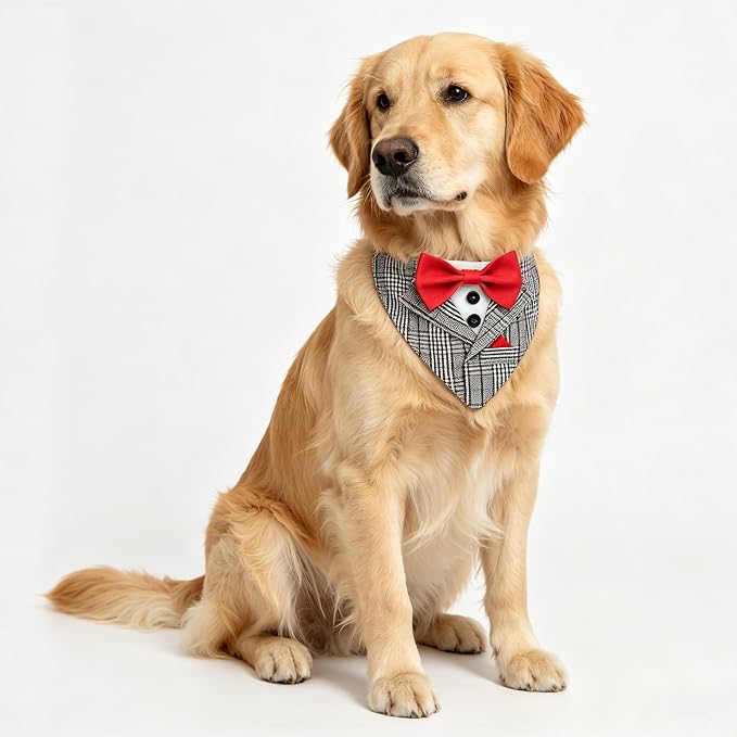 Dog Tuxedo Costumes Wedding Outfit, Medium, Gray