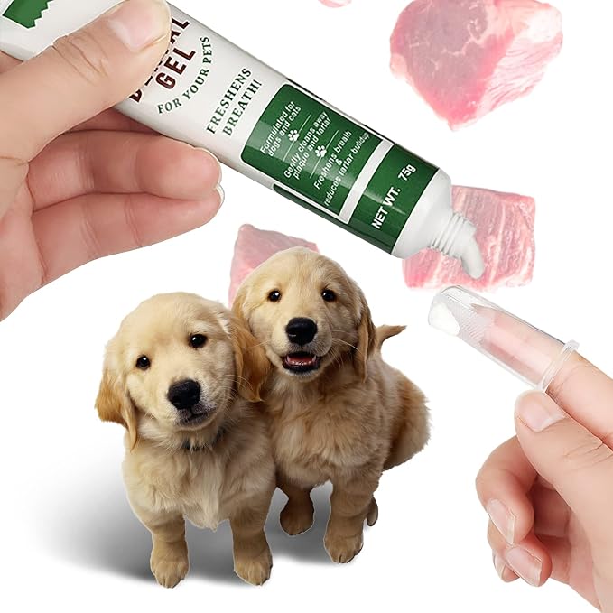 Pet Toothbrush Toothpaste Kit Dog Teeth Cleaning Cat Teeth Cleaning Dental Care Kit Pet Finger Toothbrush, Reduce Plaque & Tartar Buildup, Beef Flavor