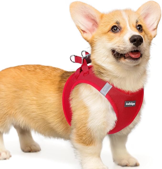 rabbitgoo Step-in Small Dog Harness, Puppy Vest for Small Medium Sized Pet | Easy Put on and off, Lightweight, Soft, Breathable Quick-Dry Air Mesh for Comfortable Secure Walking, Red L