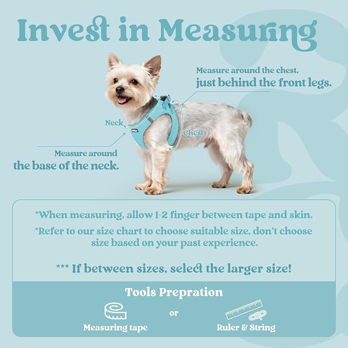 rabbitgoo Step-in Small Dog Harness, Puppy Vest for Small Medium Sized Pet | Easy Put on and off, Lightweight, Soft, Breathable Quick-Dry Air Mesh for Comfortable Secure Walking, Mint Blue L