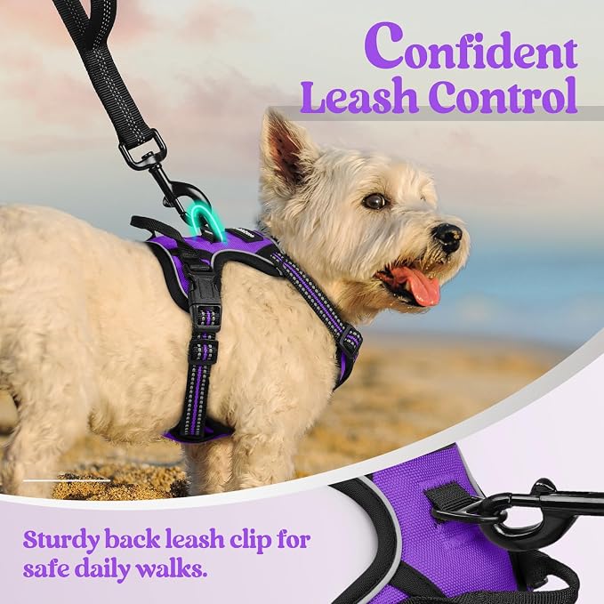 rabbitgoo Dog Harness No Pull with 2 Leash Clips, Adjustable Soft Padded, Reflective Oxford No Choke Pet Vest with Easy Control Handle for Puppy, Purple,XS | No Choke with Handle, Adjustable Soft Padded, Reflective, Easy Control for Walking, Purple, X-...