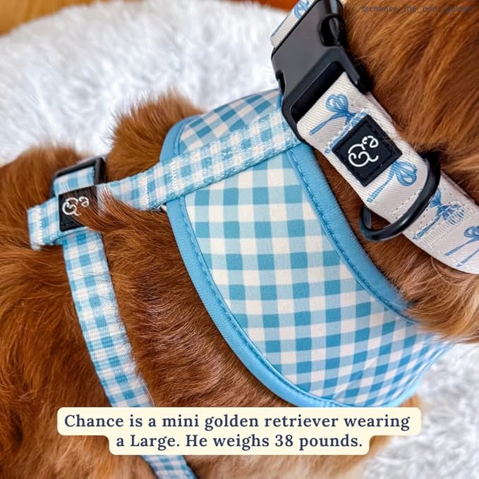 Lucy & Co. 5 Foot Designer Dog Leash for Small, Medium or Big Dogs or Puppies Puppy – Pet Accessories & Supplies - Large - White with Blue Bows