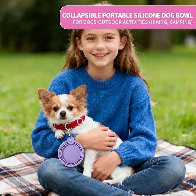 SLSON Macaron Collapsible Dog Bowl, 2 Pack, Small, Rose & Violet