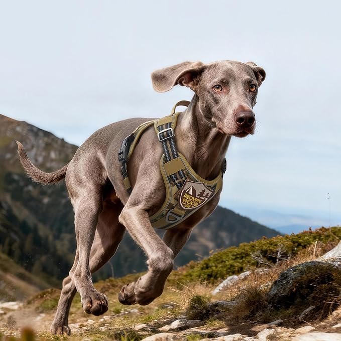 rabbitgoo Tactical Dog Harness for Large Dogs, No Pull Service Pet Vest | Military Molle System & Easy Control Handle, Adjustable and Reflective for Walking and Training, Desert Camo, Large