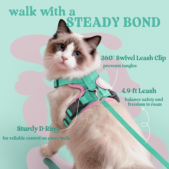 rabbitgoo Cat Harness and Leash Set, Escape Proof Vest, Green & Pink | Soft Breathable Mesh, Easy Adjustable Fit, Snap Buckles, Sturdy Clip, Reflective Strips, for Medium to Large Cats Walks, M