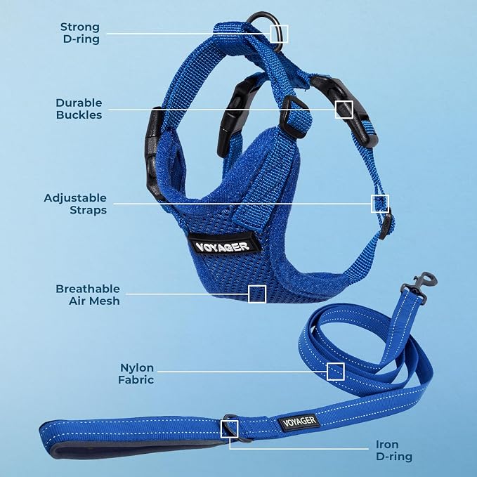 Best Pet Supplies Voyager Step-in Lock Pet Harness w Reflective Pet Leash Combo Set with Neoprene Handle 5ft - Supports Small, Medium and Large Breed Puppies/Cats - Royal Blue Set, XS