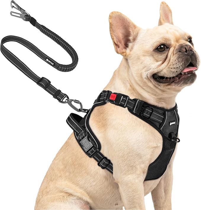 Joytale No Pull Dog Harness & Seat Belt, Easy On 3-Buckle, S, Black | Front Clip Reduces Pulling, Escape-Resistant Design, Adjustable Fit, Soft Padding for Comfort, Secure Tether for Safer Travel