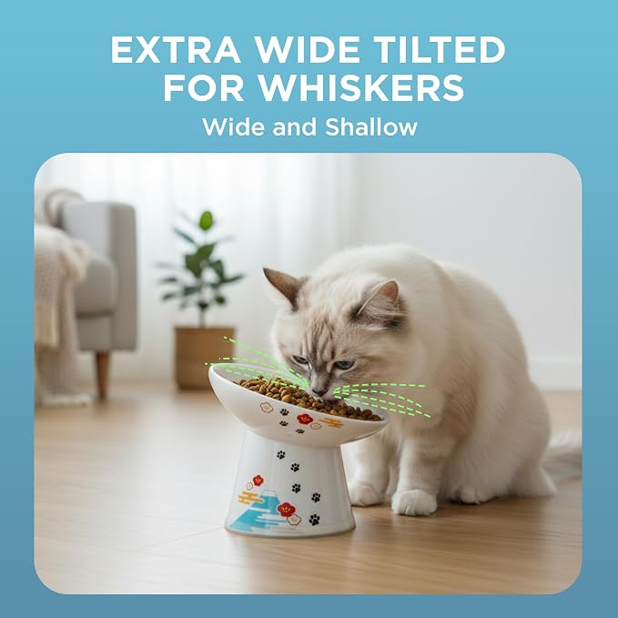 Necoichi Raised Cat Food Bowl – Ceramic Elevated 15° Tilted cat Bowl for Whisker & Neck Fatigue, Dishwasher & Microwave Safe, Non-Slip Anti-Vomiting Design (Fuji, Extra Wide Tilted, 1.5-Cups Capacity)