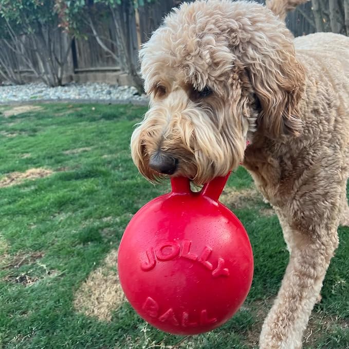 Jolly Pets Tug-n-Toss Dog Toy Ball with Handle, 10" XL, Red