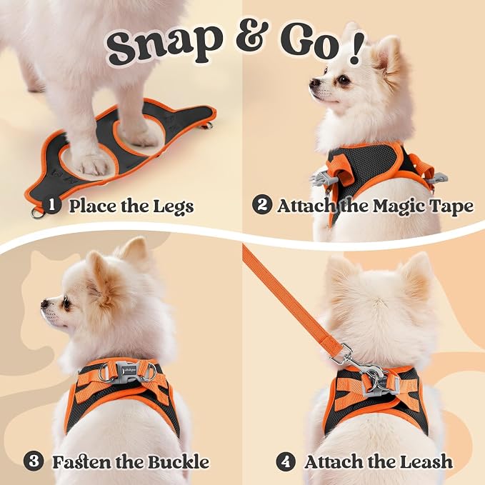 rabbitgoo Dog Harness Small Sized and Leash Set, Step in Soft Vest | Breathable Mesh, Easy Wear with Hook & Loop, Light and Reflective for Walking, Multi-colored, Black & Orange, XXS