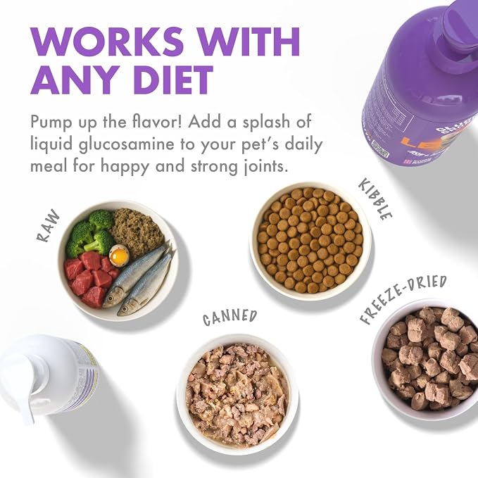 Liquid Glucosamine for Dogs Bacon Flavour with Chondroitin, MSM & Hyaluronic Acid K9 Supplement Hip and Joint Formula Advanced Mobility Joint Pain Relief Senior Advanced Supplement for All Breeds