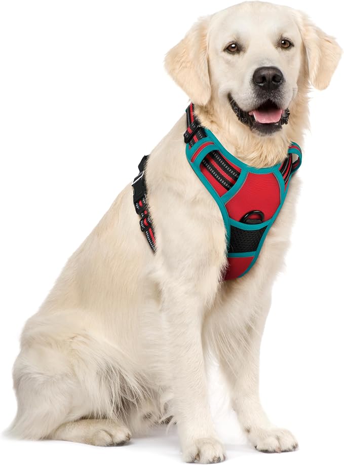 rabbitgoo Dog Harness, No Pull for Large Dogs with 2 Leash Clips, Pet Vest | No Choke with Handle, Adjustable Soft Padded, Reflective, Easy Control for Walking, Red & Teal, X-Large