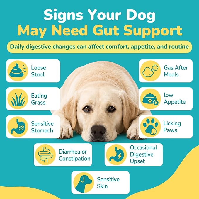 Woyamay Probiotics for Dogs, Dog Probiotics Chews, Gut & Digestive Support