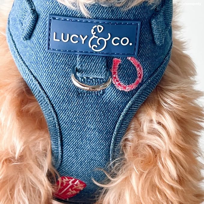 Lucy & Co. The Cute to Boot No-Pull Dog Harness for Dogs – Vest to Stop Pulling & Walk Easy – Comfortable Leash Training Product w/Adjustable Chest & Neck Straps - Demin Cowgirl - Small