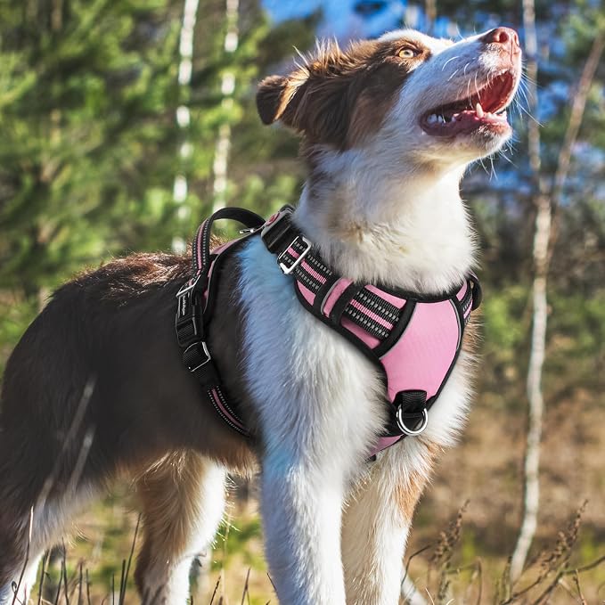 rabbitgoo Dog Harness Medium Sized, No Pull 3 Buckles Easy On & Off | Soft Padded, Walking with Control Handle, Adjustable and Reflective, Light Pink, Medium