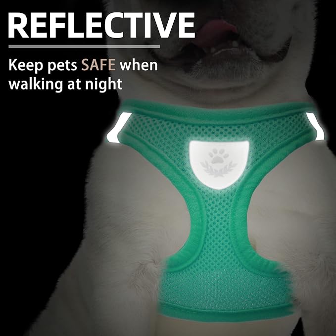 PUPTECK Adjustable Dog Harness Collar and Leash Set Step in No Pull Pet Harness for Small Medium Dogs Puppy and Cats Outdoor Walking Running, Soft Mesh Padded Reflective Vest Harnesses, Solid Green XS