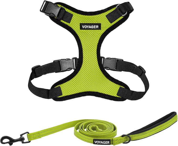 Best Pet Supplies Voyager Step-in Lock Pet Harness w Reflective Pet Leash Combo Set with Neoprene Handle 5ft - Supports Small, Medium and Large Breed Puppies/Cats - Lime Green/Black Trim Set, M