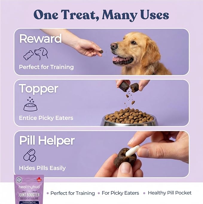 healthybud Hip & Joint Soft Chews for Dogs – Grain-Free Functional Dog Treats with Glucosamine, Chondroitin & Green Lipped Mussel – Daily Mobility Support – for All Ages & Breeds – 130 g (4.6 oz)