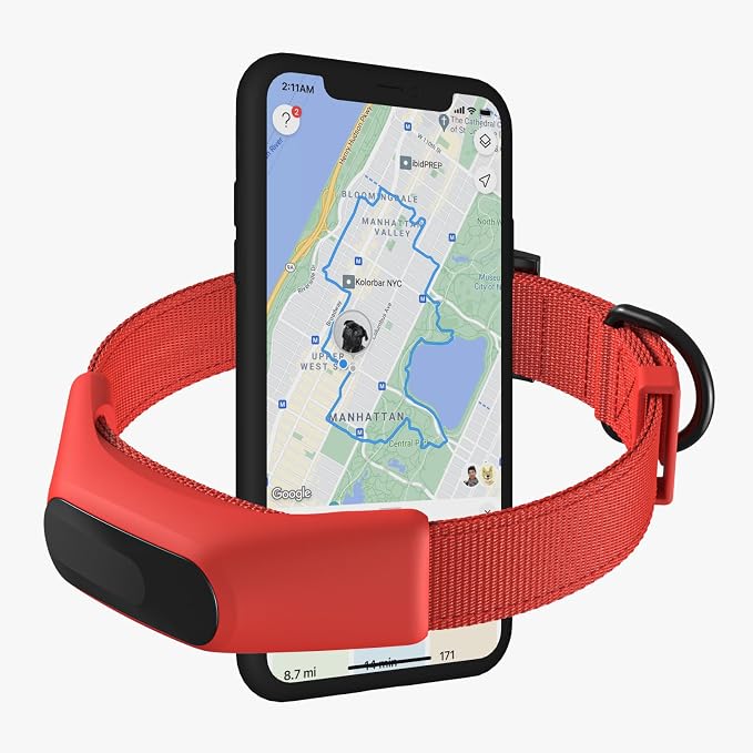 Averia Collar - Reliable GPS and Activity Tracker for Dogs