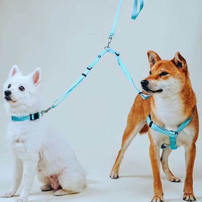 Blueberry Pet Essentials Durable Classic Double Dog Leash Coupler, Turquoise, Medium/Large, Dual Walking & Training Leashes for Two Dogs