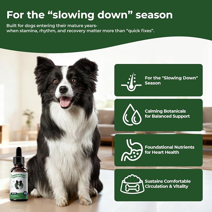 Young Heart for Dogs, Senior Cardiovascular Support, Taurine Drops