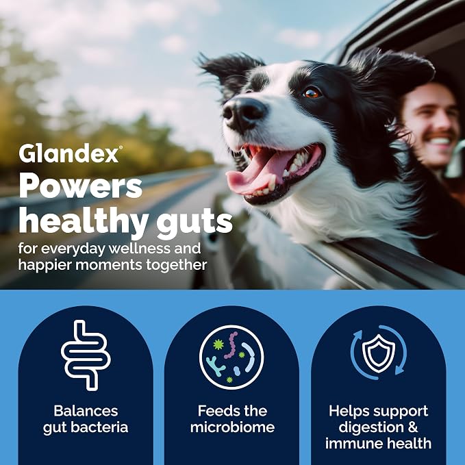 Vetnique Glandex Probiotic Powder for Dogs - 4.25oz, Pork Flavor