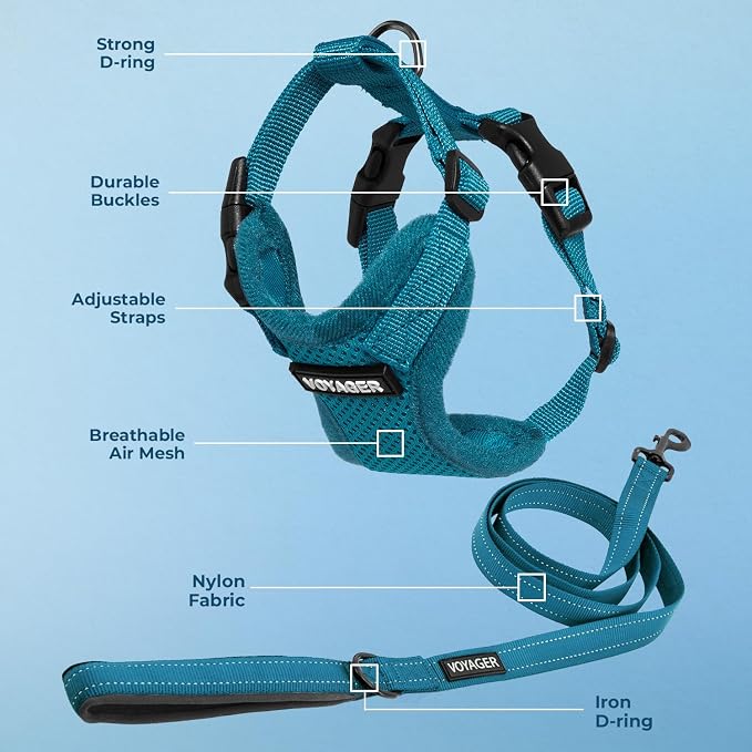 Best Pet Supplies Voyager Step-in Lock Pet Harness w Reflective Pet Leash Combo Set with Neoprene Handle 5ft - Supports Small, Medium and Large Breed Puppies/Cats - Turquoise Set, S