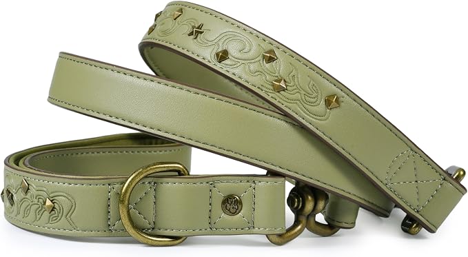 Blueberry Pet Premium Embossed Sage Green Glam Microfiber Leather Dog Leash with Antique Brass Studs