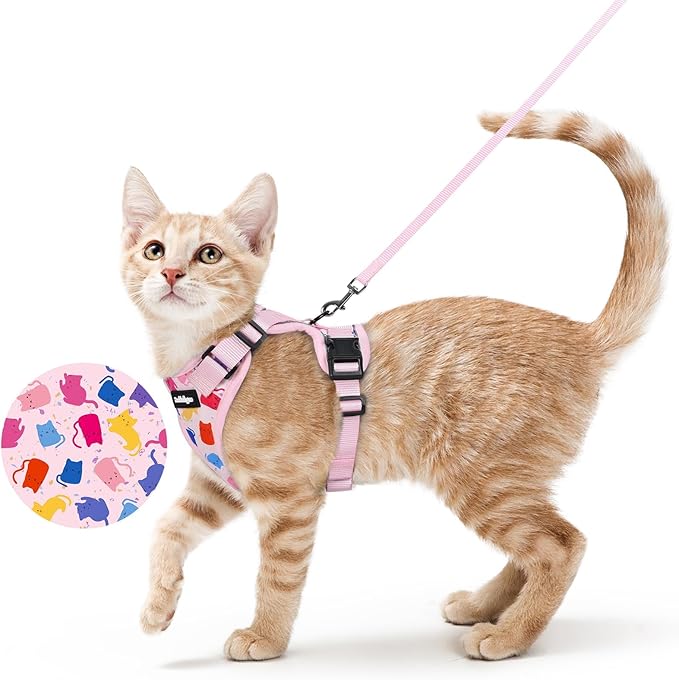 rabbitgoo Cat Harness and Leash Set, Escape Proof Vest, Purrty Pink | Soft Breathable Mesh, Easy Adjustable Fit, Snap Buckles, Sturdy Clip, Reflective Strips, for Small & Average Cats Walks, Xs