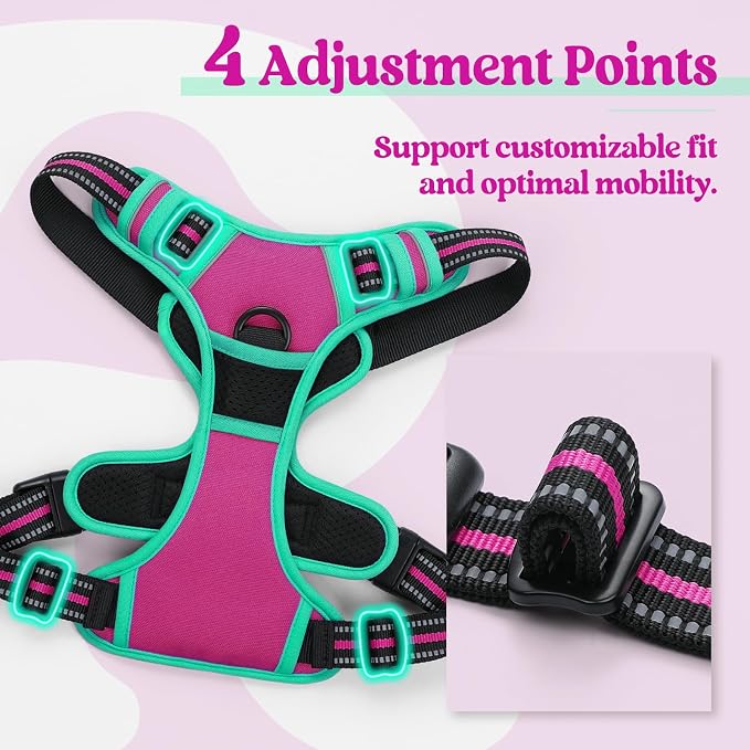 rabbitgoo Dog Harness, No Pull for Large Dogs with 2 Leash Clips, Pet Vest | No Choke with Handle, Adjustable Soft Padded, Reflective, Easy Control for Walking, Hot Pink & Turquoise, Large