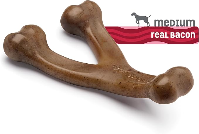 Benebone Wishbone and Fishbone Durable Dog Chew Toys for Aggressive Chewers, Made in USA