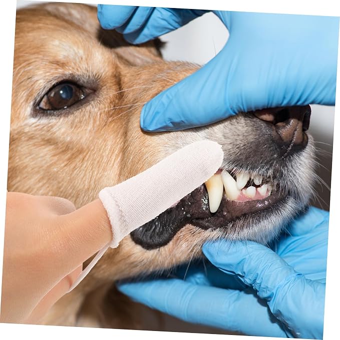 10pcs Dog Finger Toothbrush Durable Nylon Pet Tooth Cleaning Brush for Cats and Dogs Effectively Reduces Plaque Freshens Breath for Pet Owners