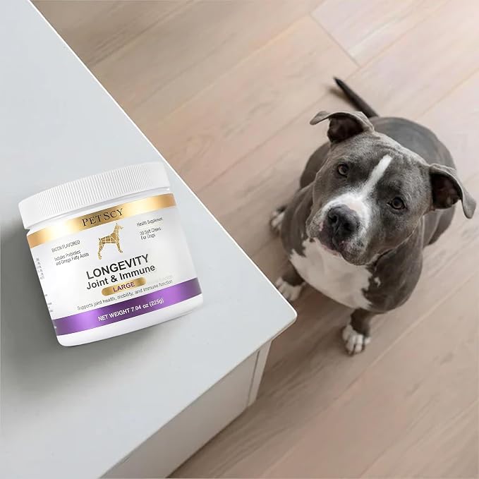 Petscy Longevity Hip & Joint + Immune Support for Dogs - Large (7.5g Chew) - High Dose Glucosamine, MSM, Chondroitin, Green Lipped Mussel, Omega 3, Probiotics - 30 Chews (Large Dogs)