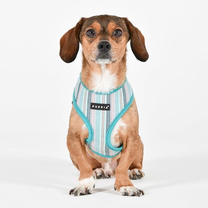 Puppia Theros Dog Harness A (Over-The-Head) Fashionable Striped Pattern Spring Summer Harness for Small and Medium Dogs, Aqua, Large