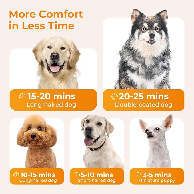 Pecute High-Velocity Dog Dryer, Adjustable Speed & Temp, 6.5ft Cord | Heat-resistant hose, pet grooming salon, cool-warm-hot cycle, 4 nozzles, soft noise, quick drying, overload protection