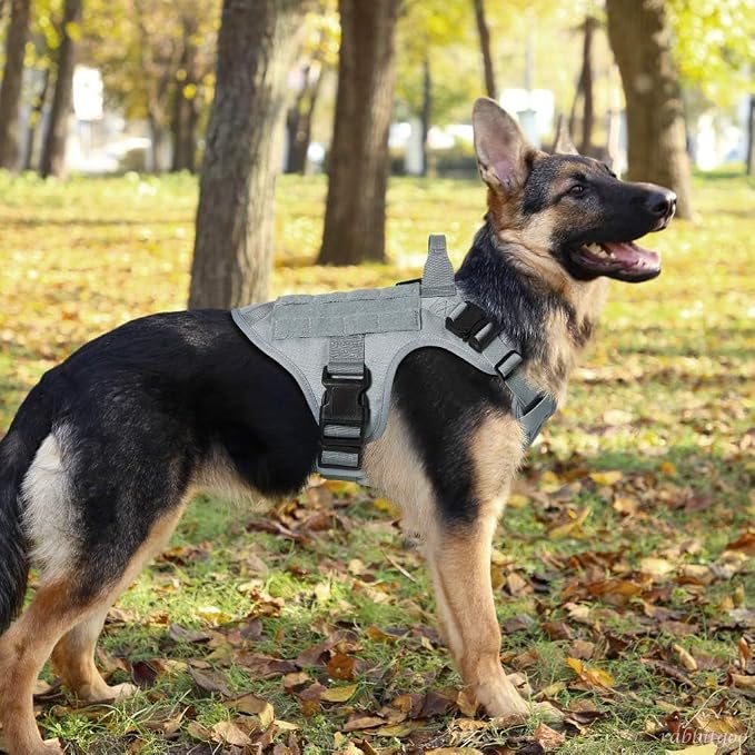 rabbitgoo Tactical Dog Harness for Small, Heavy Duty Military No Pull Vest | Sturdy Metal Buckles, 5 Adjustments, Molle System, Powerful Pullers for Training, Hunting, Outdoor, Grey, Small