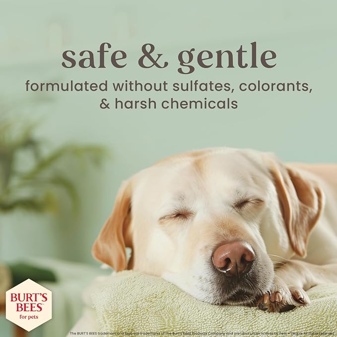 Burt's Bees Manuka Honey Deodorizing Dog Spray, Charcoal, 10 Fl Oz