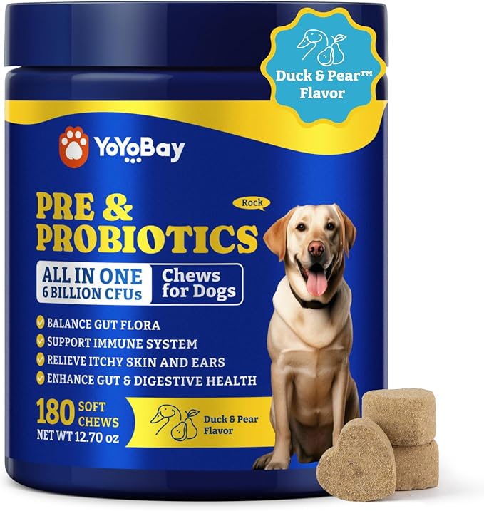 Probiotics for Dogs, Dog Gut, Immune & Skin Health Support Supplement