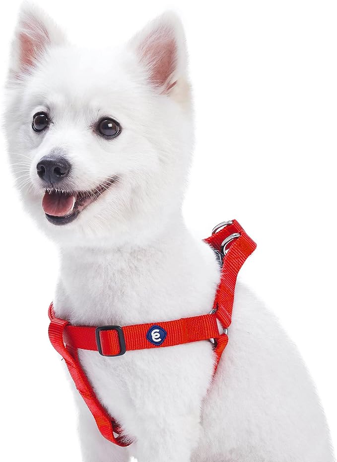 Blueberry Pet Essentials Step-in Dog Harness, Small Size | Adjustable Rouge Red Vest | Classic Solid Nylon for Boy & Girl Dogs, Chest Girth 16.5" - 21.5"