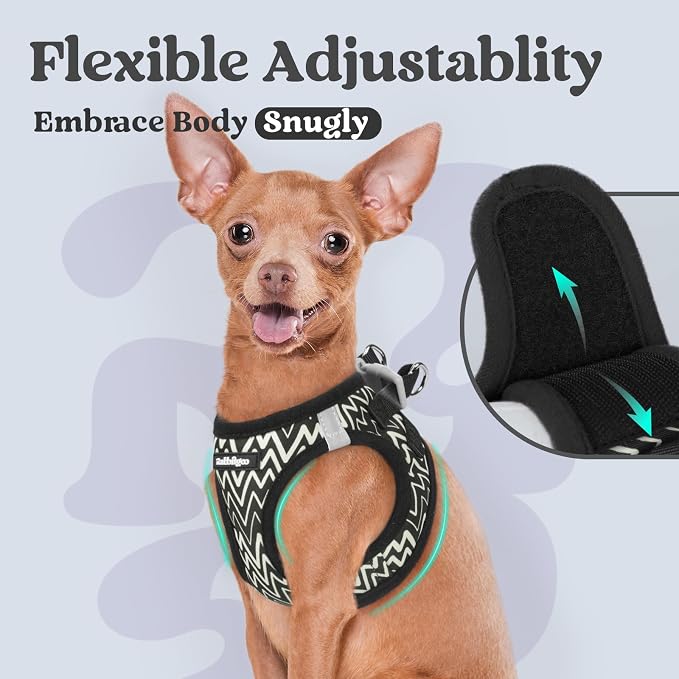 rabbitgoo Step-in Small Dog Harness, Puppy Vest for Small Sized Pet | Easy Put on and off, Lightweight, Soft, Breathable Quick-Dry Air Mesh for Comfortable Secure Walking, Black Zigzag S