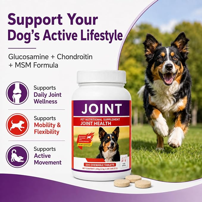 Dog Hip & Joint Supplement with Glucosamine, Chondroitin & MSM, 100 Count