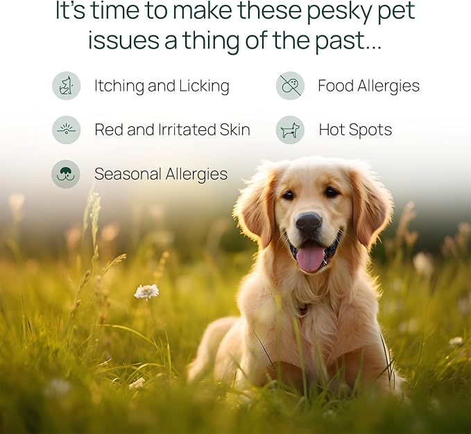 pawTree Natural Allergy Support Plus for Dogs-Ideal for Itching, Irritated Skin, Seasonal and Food Allergies, Hot Spots. Supplement Your pet Will Love. Small Chews for Pets - 60 Count (Large)