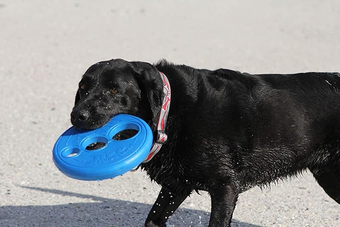 Rogz Flying Object Disc Dog Toy, Blue