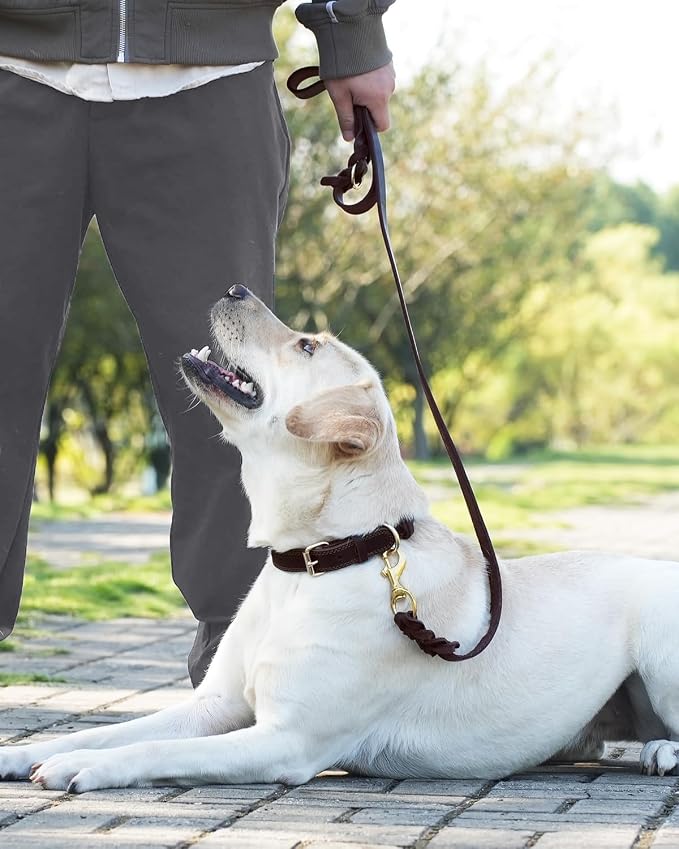 Joytale Leather Dog Leash, Strong Heavy Duty Genuine Cowhide with Brass Hook, Soft and Comfortable Leather Training Leash for Large Medium Small Dogs（Brown, 6ft×3/4''）
