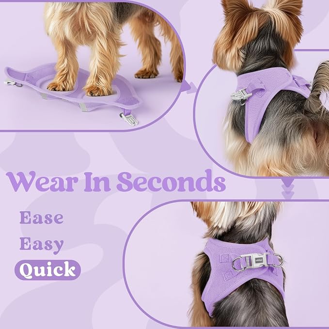 rabbitgoo Step-in Small Dog Harness, Puppy Vest for Small Sized Pet | Easy Put on and off, Lightweight, Soft, Breathable Quick-Dry Air Mesh for Comfortable Secure Walking, Light Purple M