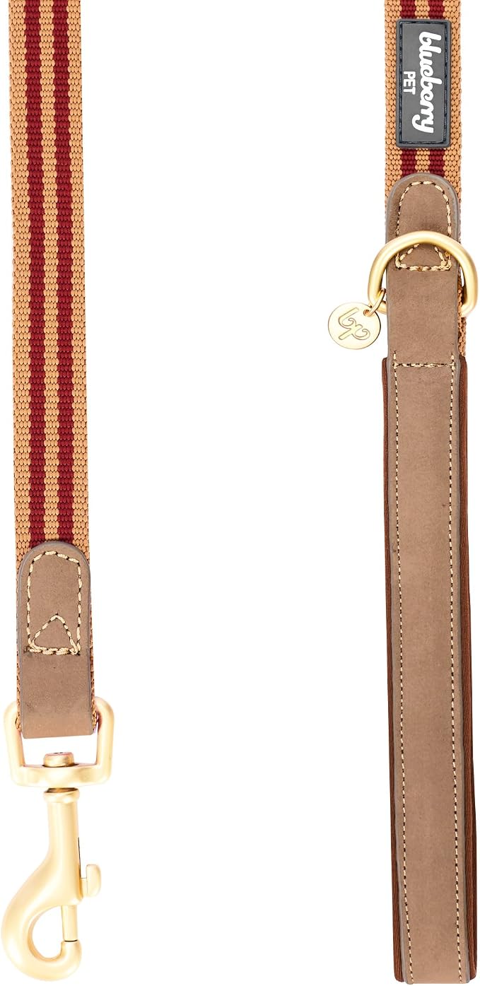 Blueberry Pet Polyester Fabric Webbing and Soft Genuine Leather Dog Leash with Soft & Comfortable Handle, 6 ft x 1", Red and Brown, Leashes for Dogs